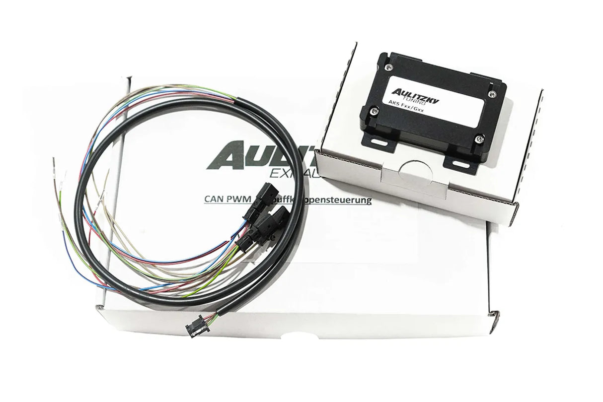 Aulitzky Exhaust | ECE Abgasanlage ab OPF mit Klappensteuerung | BMW M135i xDrive F40 306PS B48