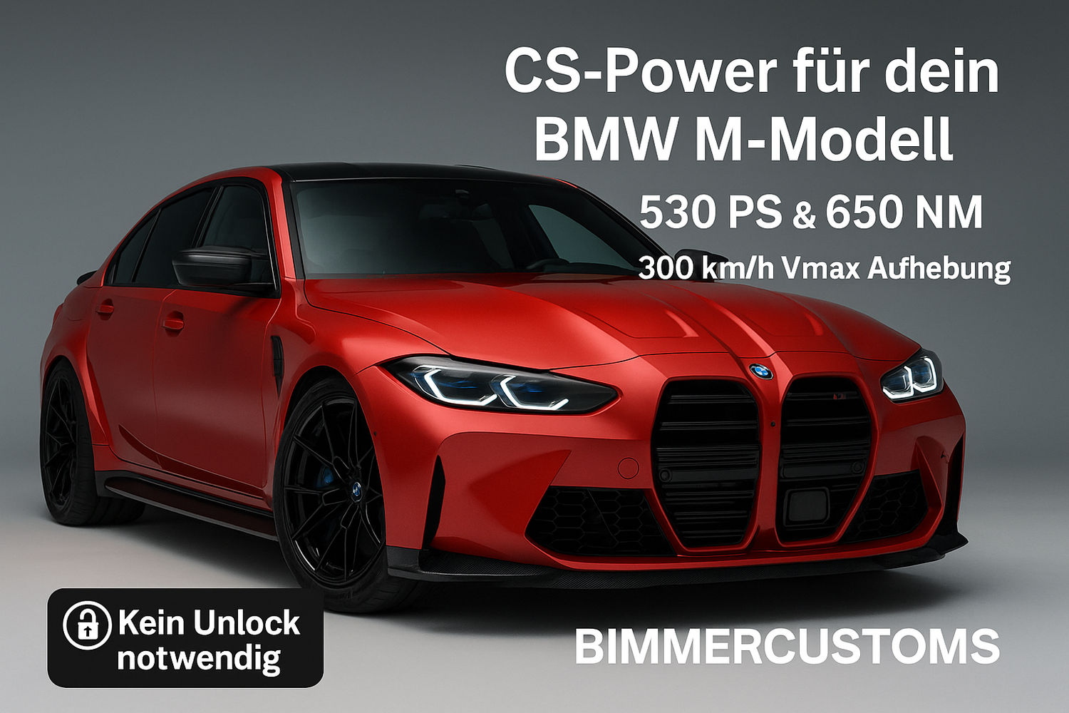 CS SOFTWARE PAKET FÜR BMW M2 M3 M4 G87 G80 G81 G82 G83