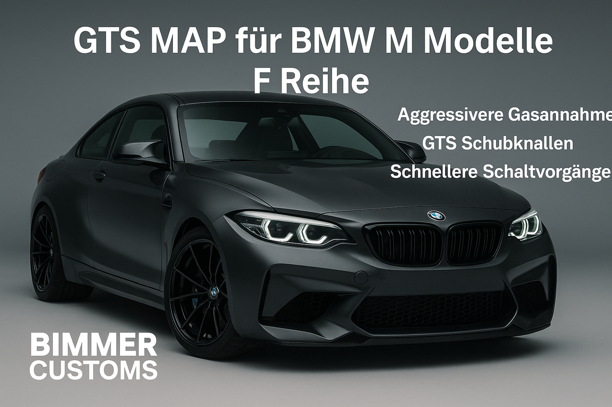 GTS MAP SOFTWARE PACKAGE FÜR BMW M2 M3 M4 F87 F80 F82 F83