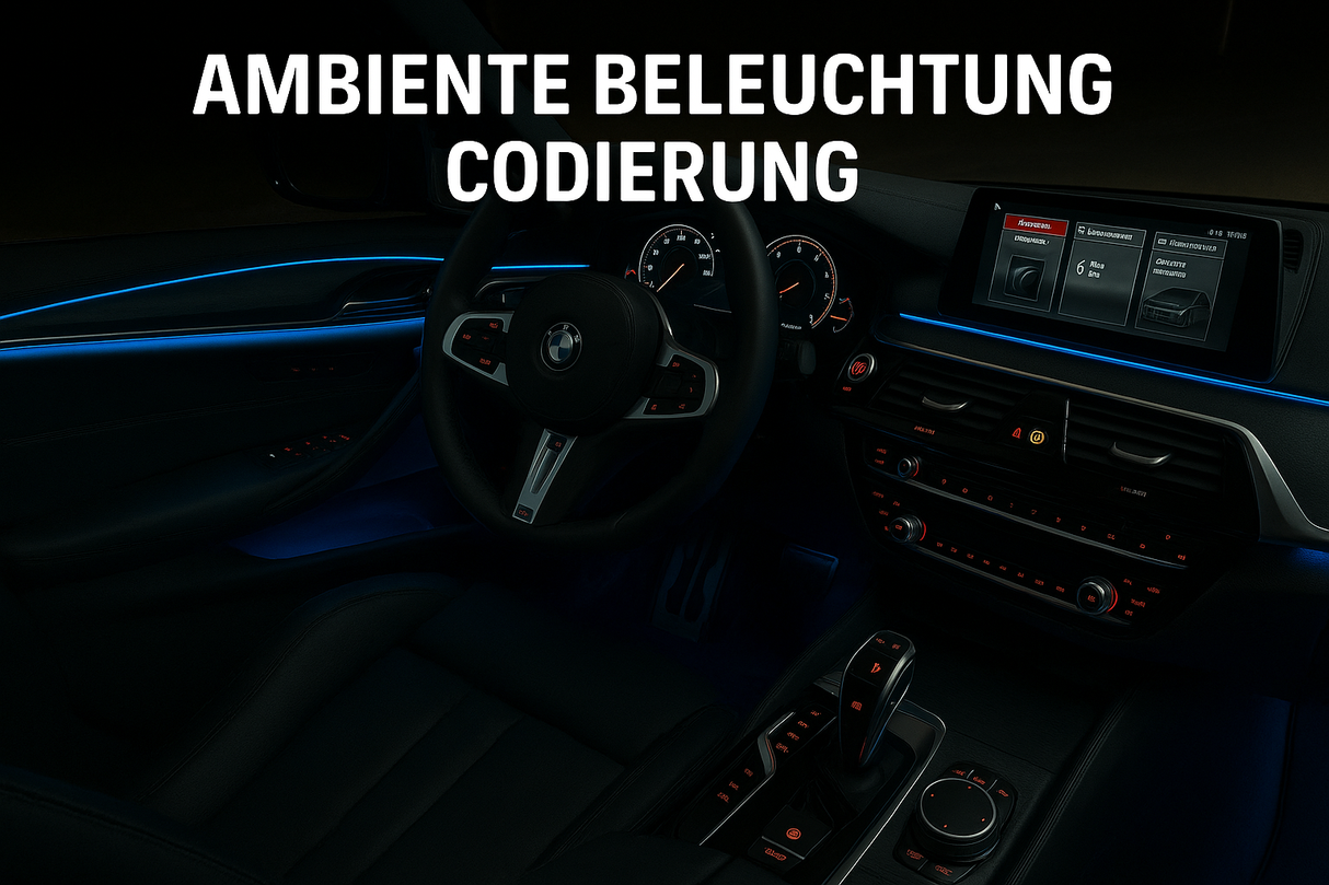 BIMMERCUSTOMS Ambiente Beleuchtung Codierung Nachrüstung