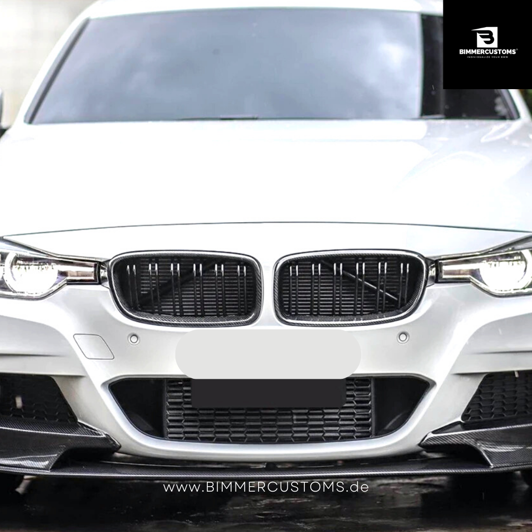 BIMMERCUSTOMS CARBON NIEREN DOPPELSTEG FRONTGRILL PASSEND FÜR BMW 3er F30 F31