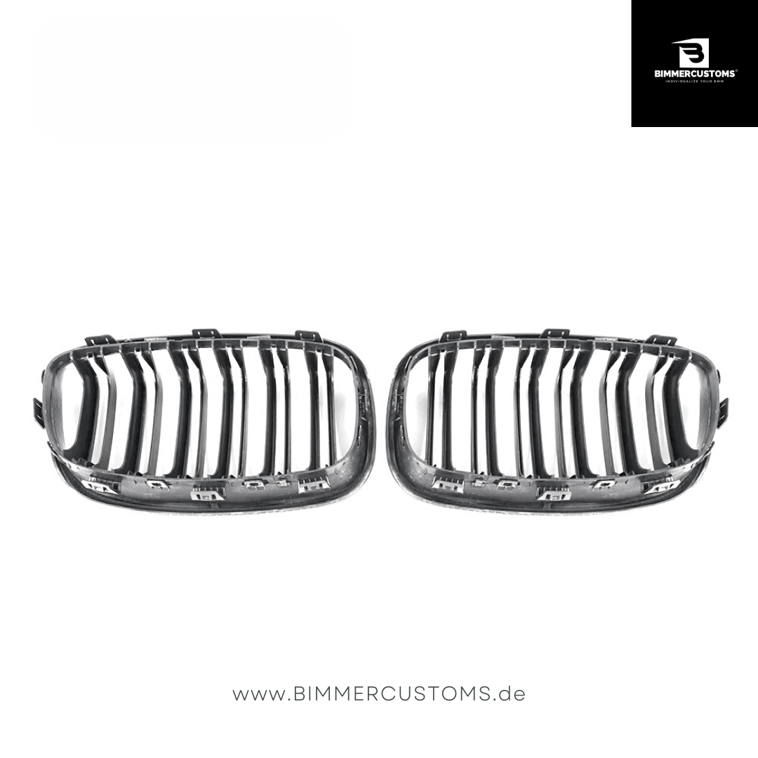 BIMMERCUSTOMS CARBON NIEREN DOPPELSTEG FRONTGRILL PASSEND FÜR BMW 1er F20 LCI